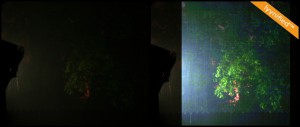 Rainy night Rainy night