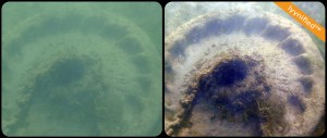 subsea-mooring A mooring in turbid green water